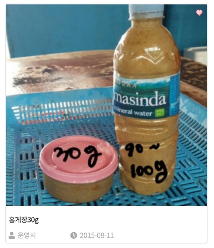 홍게-수진호-김수진