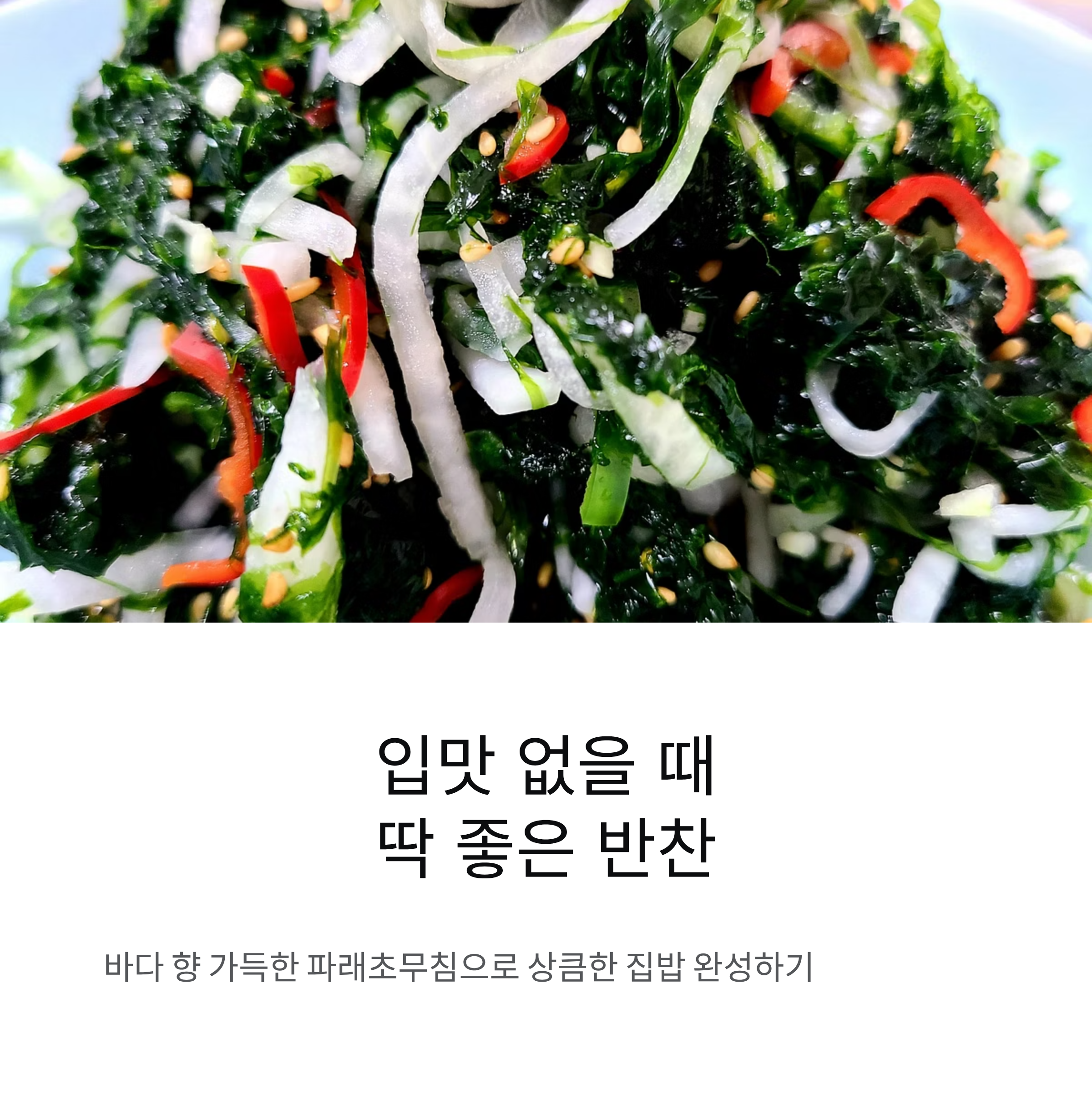 파래무침 레시피 만드는 법 파래초무침으로 완성하는 상큼한 집밥