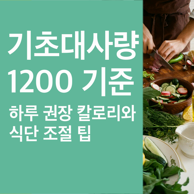 기초대사량 1200 권장 칼로리