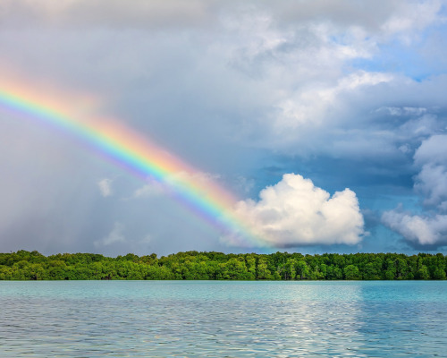 육일약국 갑시다