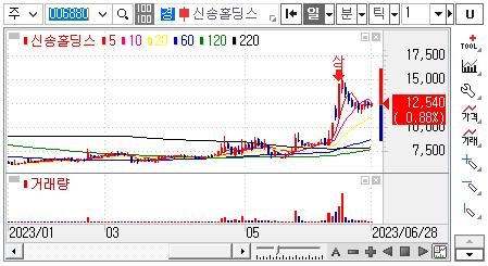신송홀딩스-주가차트