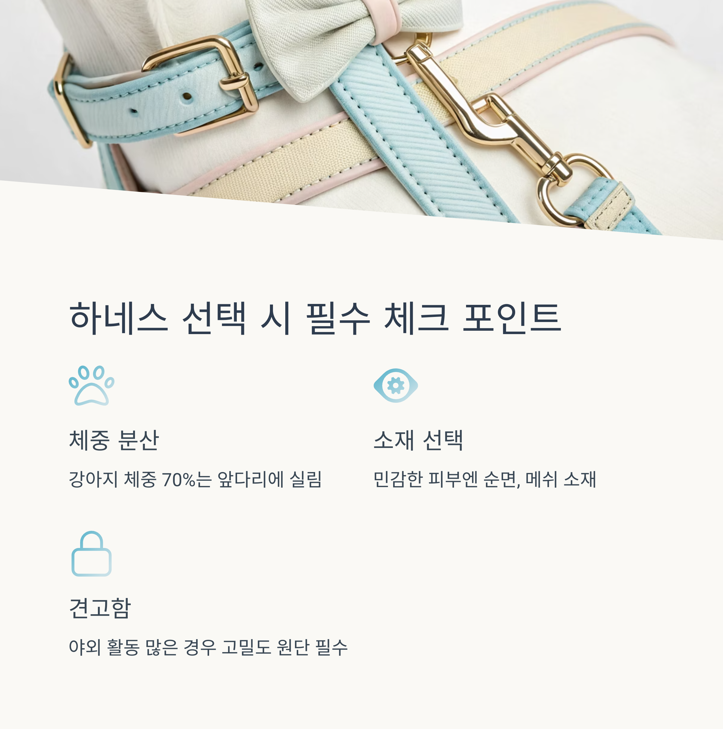 하네스 선택 시 필수 체크 포인트
