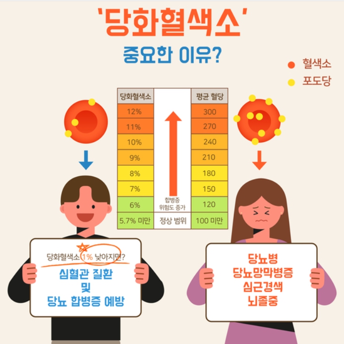 당화혈색소 표준지표