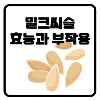 밀크씨슬효능과부작용