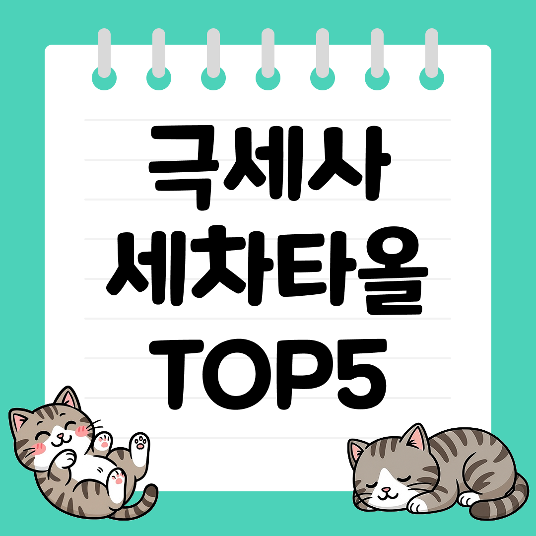 손상 없이 부드럽게 닦는 극세사 세차타올 추천 순위 TOP5