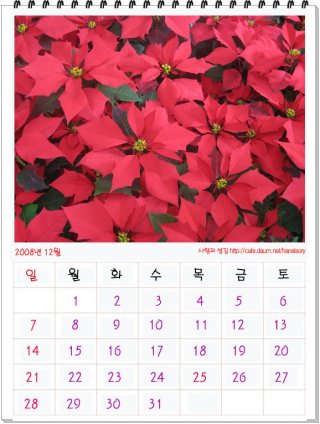 12월 달력 배경화면과 달력 다운로드 꿀 팁