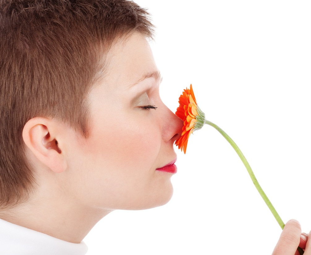 코의 날 기념 - 건강한 코를 위한 일상 관리 팁 4가지