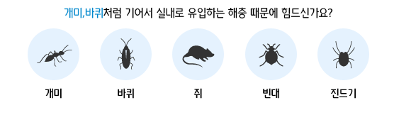 해충