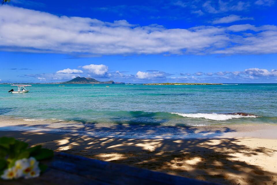 4월 하와이여행