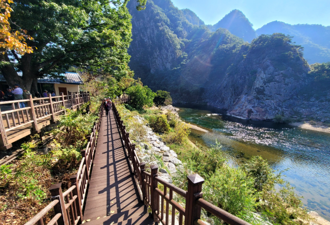 영동 아파트 단지별 상세 분석 &mdash; 실제 거주 기준으로 보는 현실적인 선택 가이드