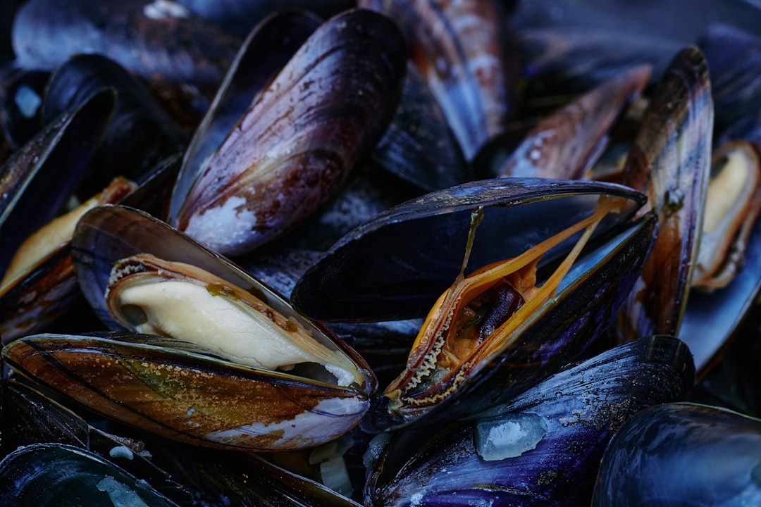 Seafood