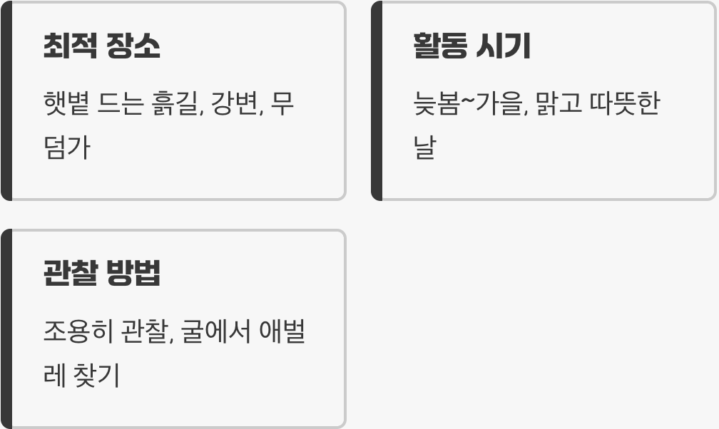 이 작은 포식자를 만나려면