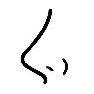 비염 및 코막힘 완화 사진