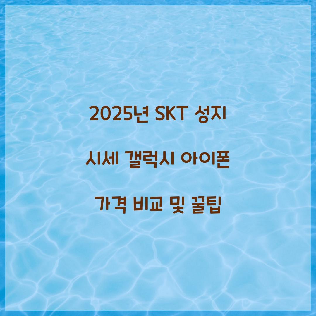 2025년 SKT 성지 시세