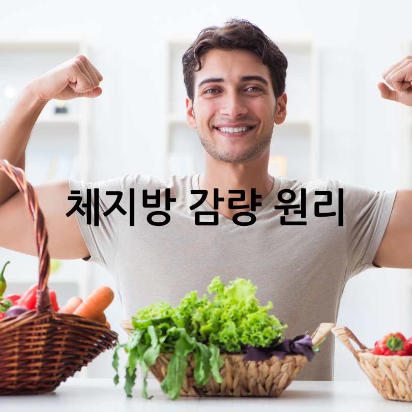 단기간 체지방 줄이는법