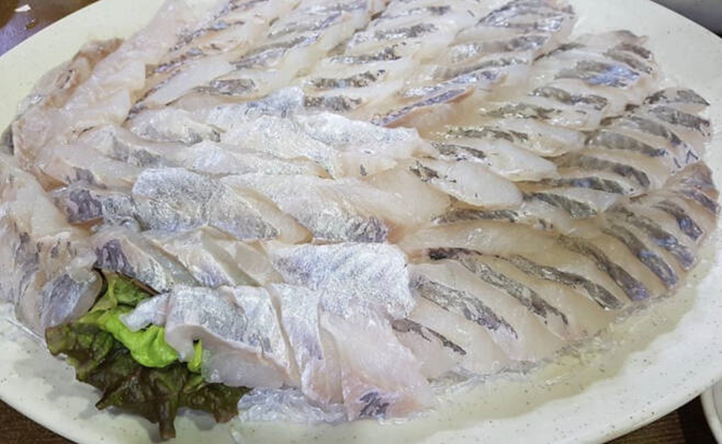 5월 제철회 우럭