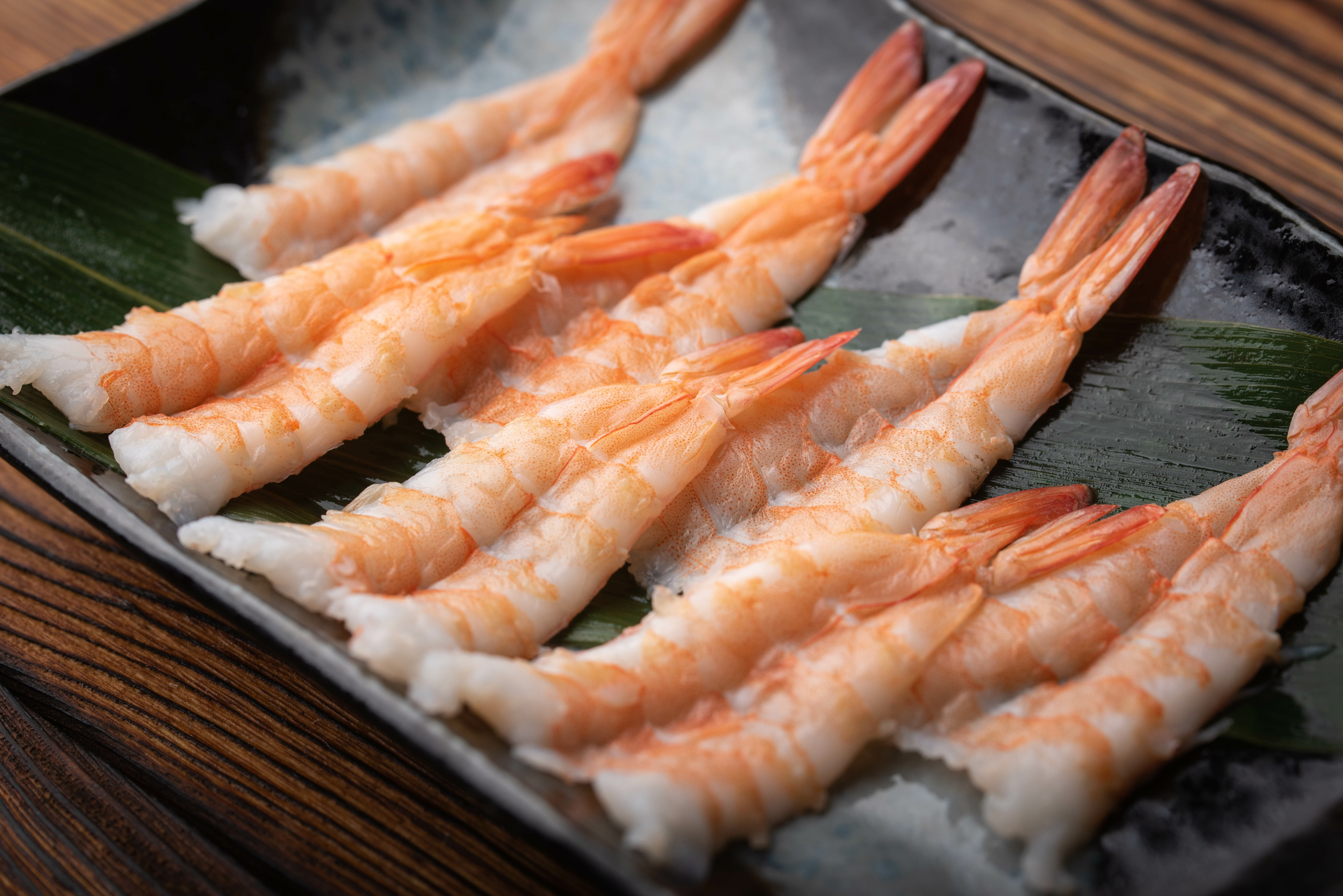 강아지 새우 먹어도