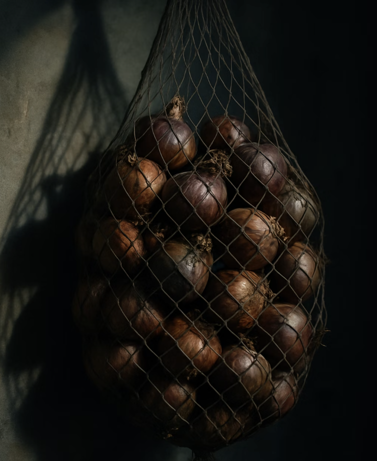 여름잠 재우기&amp;#44; 구근 보관법