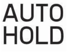 자동정차 기능 표시등 \