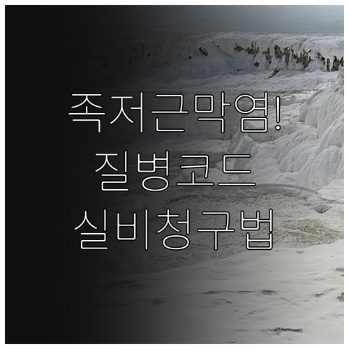족저근막염 질병코드 확인과 약제비 실..