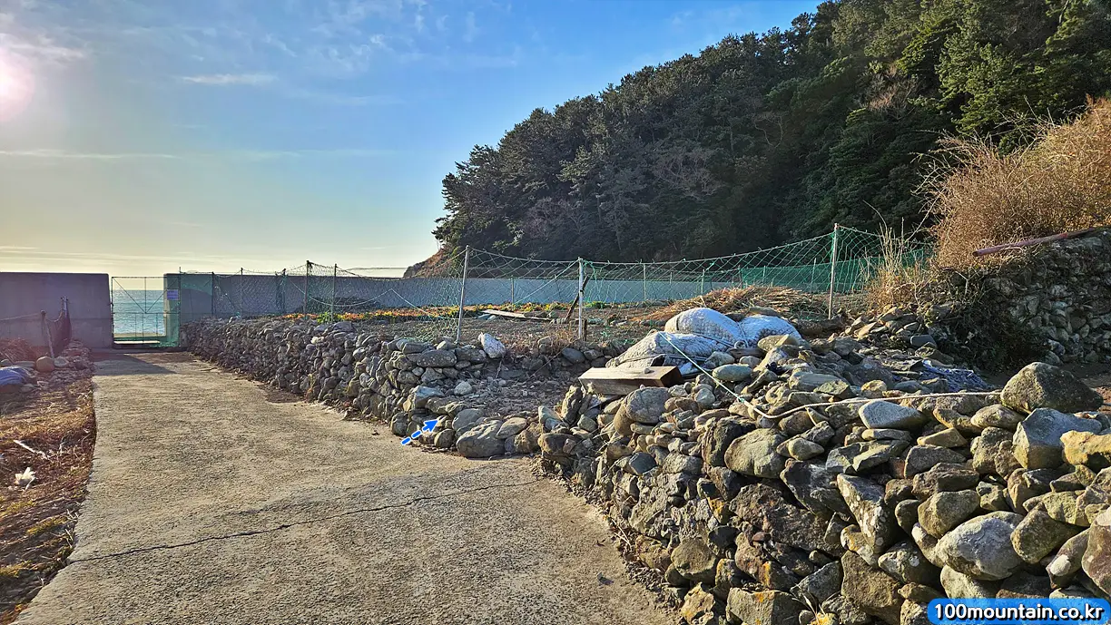 해변 앞