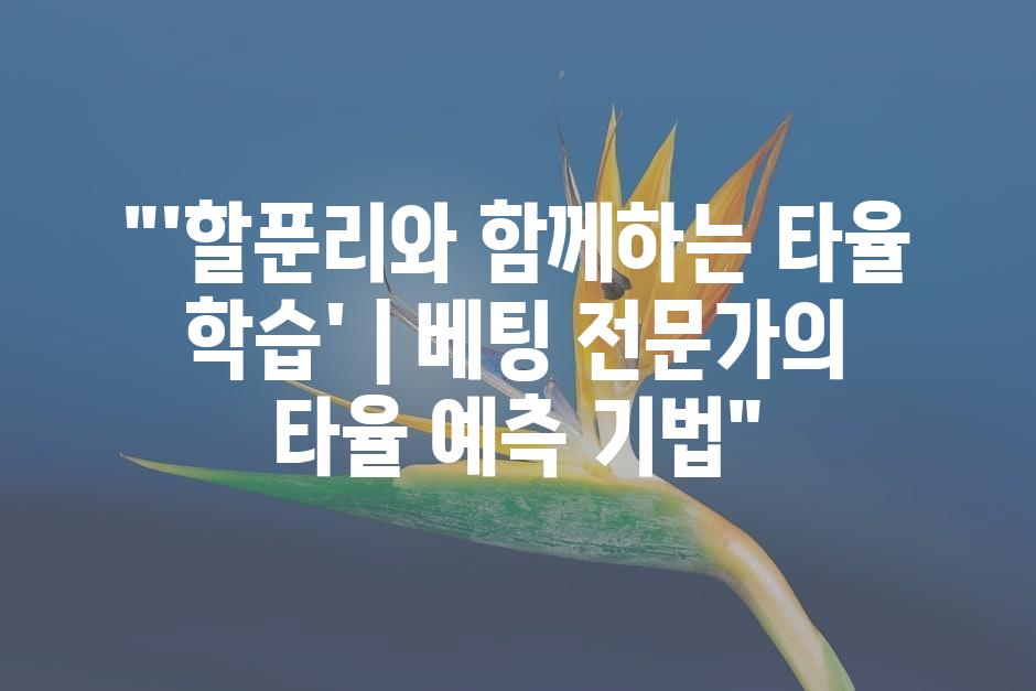 샘플 (45)