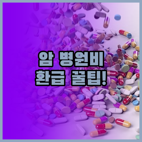 암 요양병원 급여 비급여 비용 구분 ..
