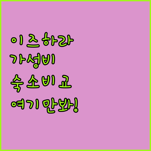 대마도 이즈하라 숙소 추천 및 위치 ..