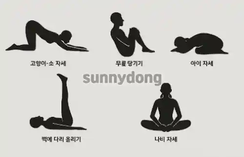 수면 전 추천 스트레칭 루틴 5가지 이미지