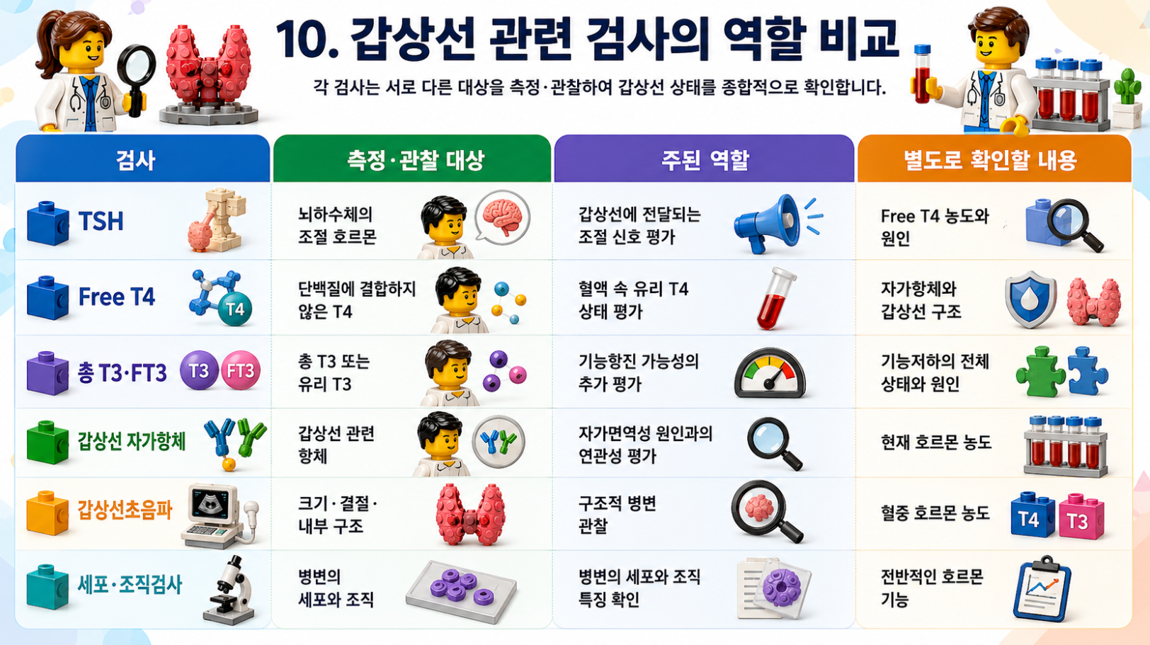 갑상선 관련 검사인 TSH, Free T4, T3, 자가항체검사, 초음파, 세포검사의 역할을 비교한 메디컬 인포그래픽
