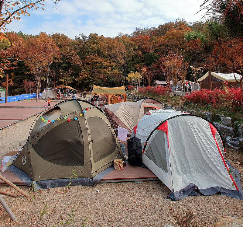 경기도 군포시 초막골생태공원 느티나무야영장 소개