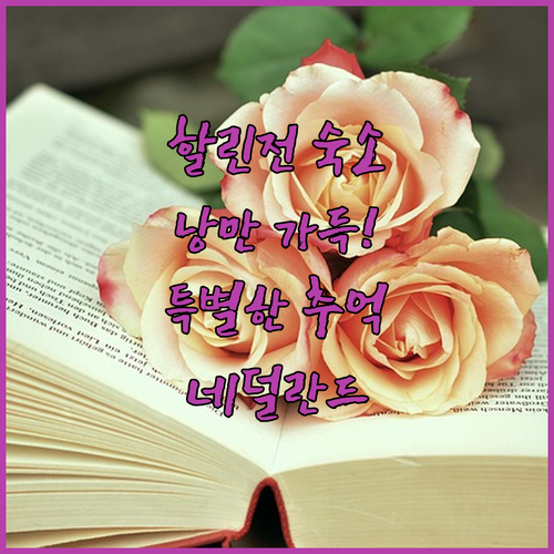 할린전 T 헤이렌로지망! 역사와 낭만..