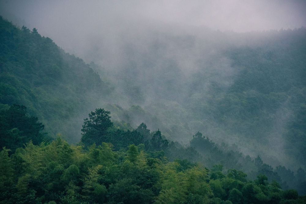 충북 충주시 충주 수안보온천파크골프장_1