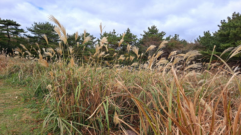 제주여행_산굼부리