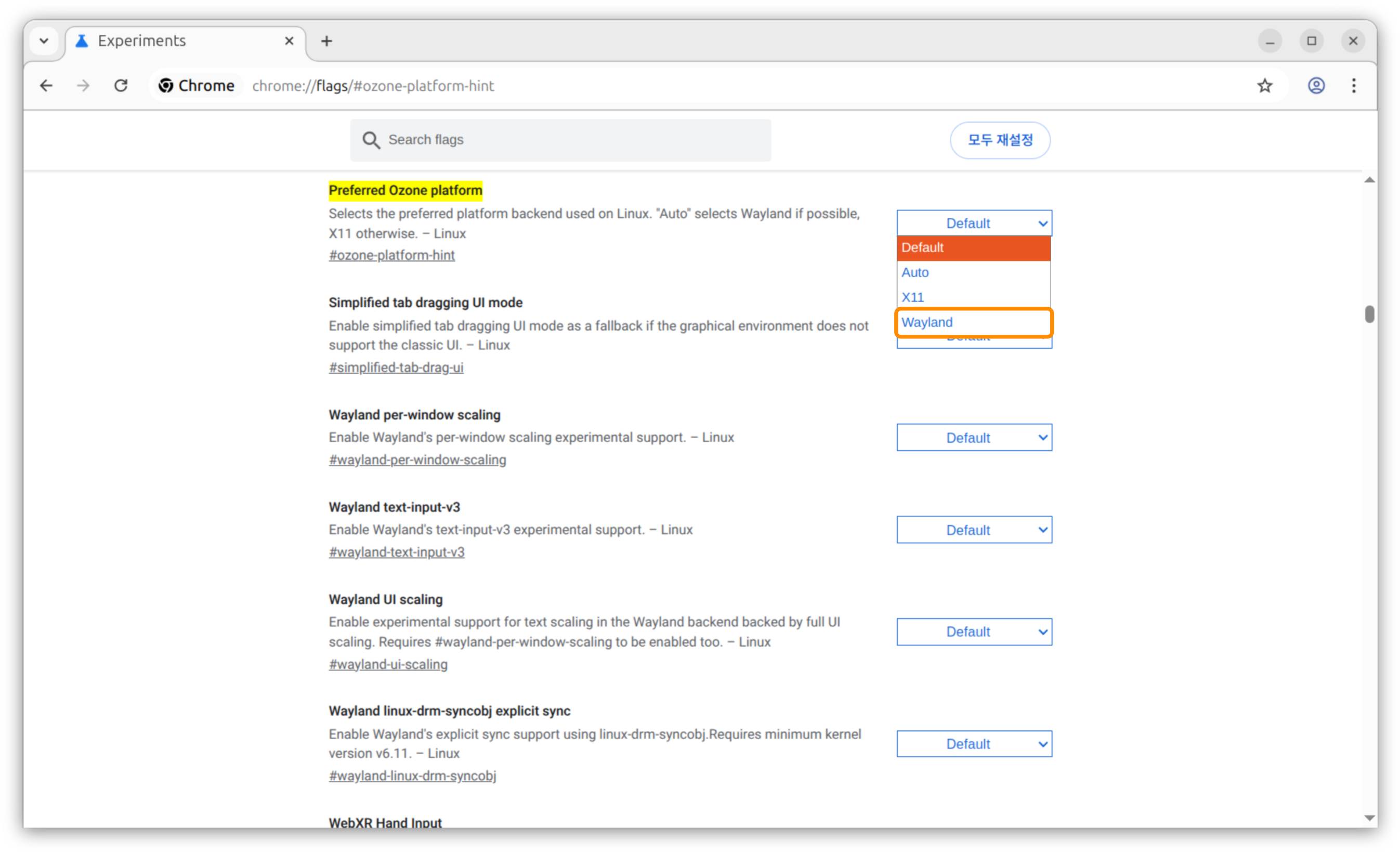 크롬 wayland 설정하기 2