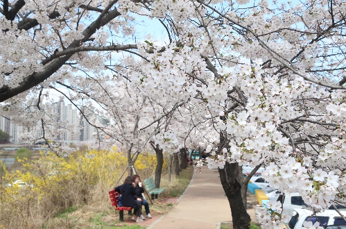 안양예술공원