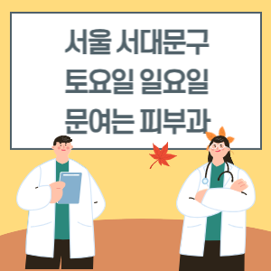 서울 서대문구 토요일 일요일 피부과 진료 병원 리스트