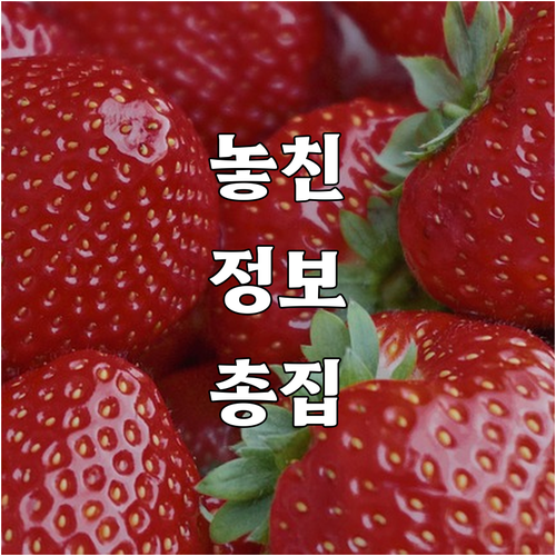 2025 서울 중구 저소득 보훈가족 ..