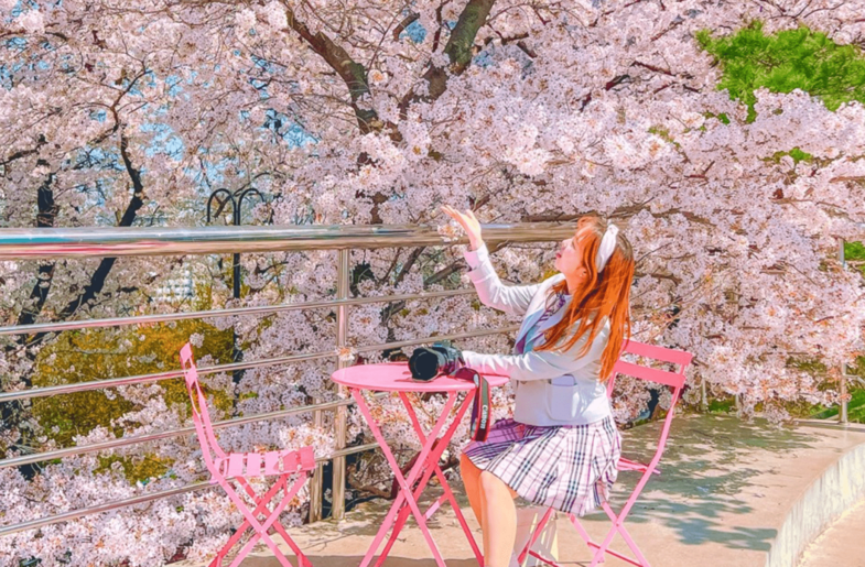 대구 이월드 벚꽃로드 벚꽃축제 오픈런 사전입장 신청 구매방법