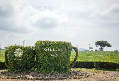 5월제주도 가볼만한곳