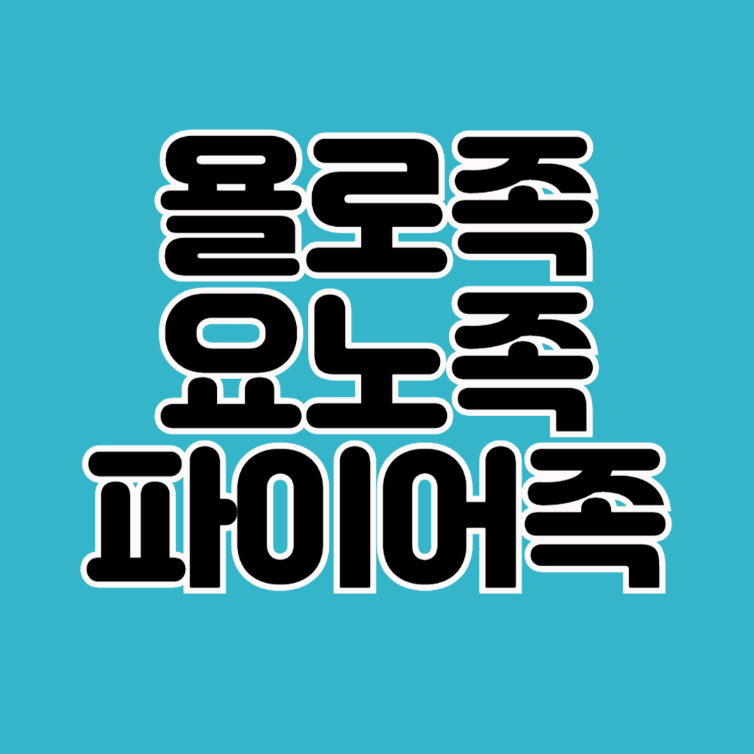 욜로족-요노족-파이어족의-차이점