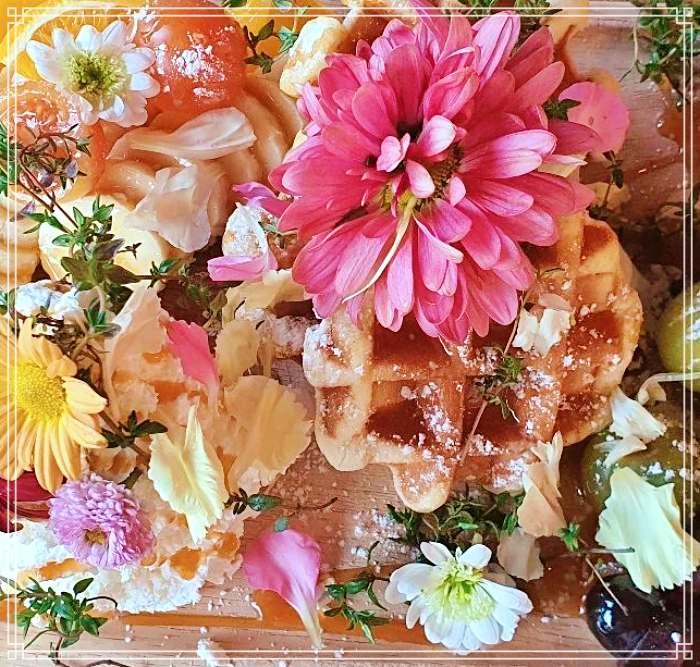 고두심이 좋아서 보령 개화예술공원 인생샷 명소, 감성플라워 꽃담은 과일 와플 디저트 카페 맛집