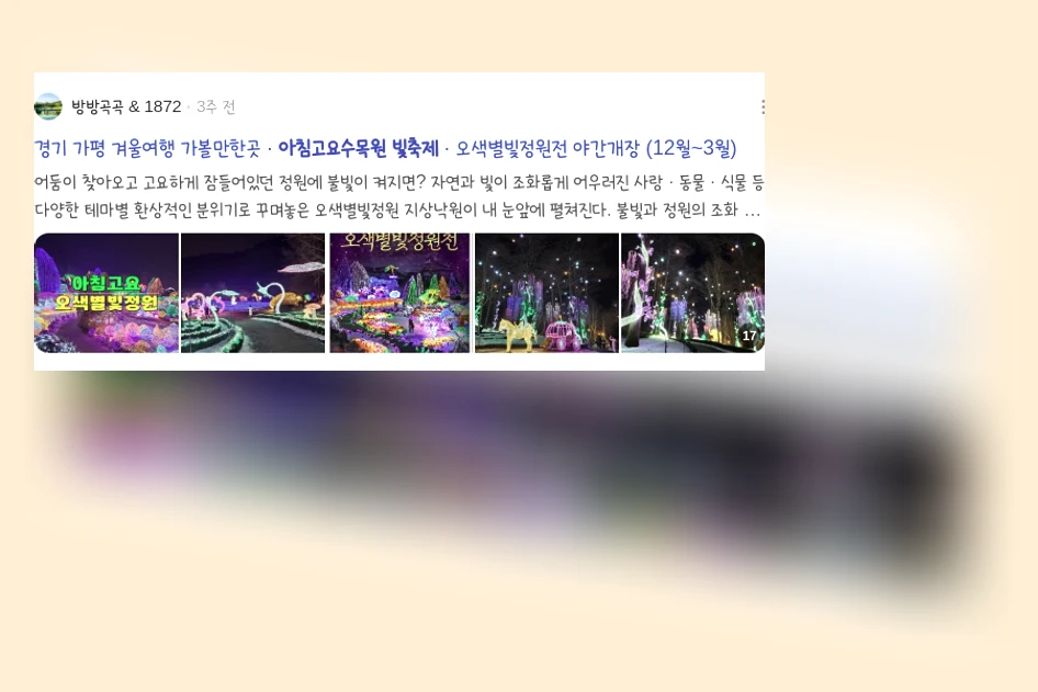 아침고요수목원빛축제_3_subsection
