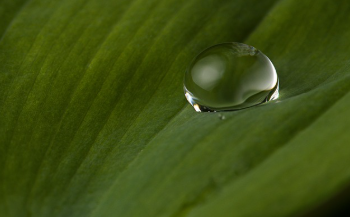 토지대장 무료열람 방법 5