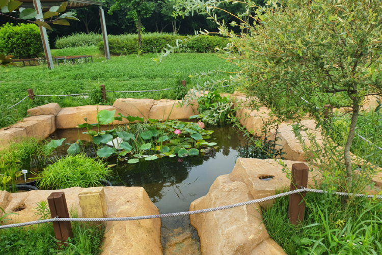 바다향기 수목원