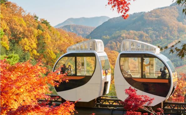 화담숲 예약 방법과 방문 팁 총정리