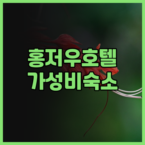 하얼빈 홍저우 호텔 실제 방문 후기 