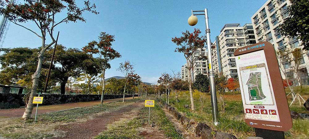 제주 서귀포 숲길