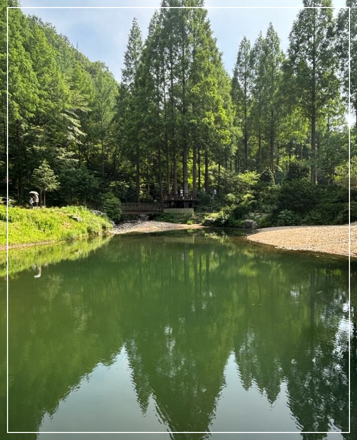 논산 가볼만한곳 베스트10 온빛자연휴양림