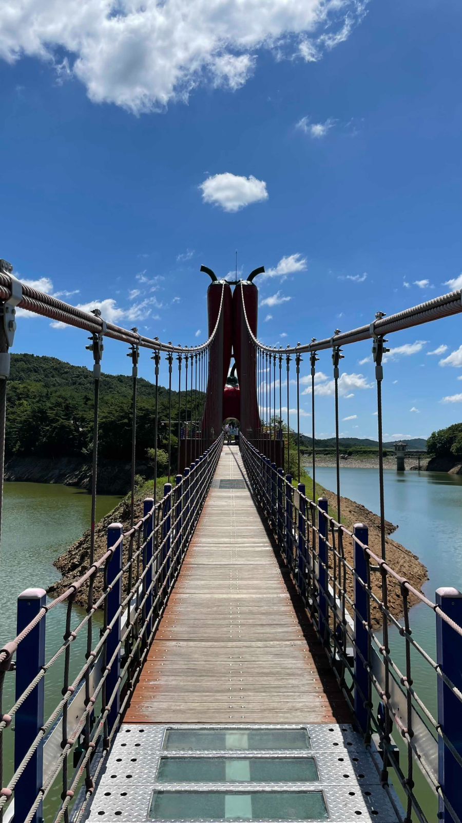 청양 천장호 출렁다리